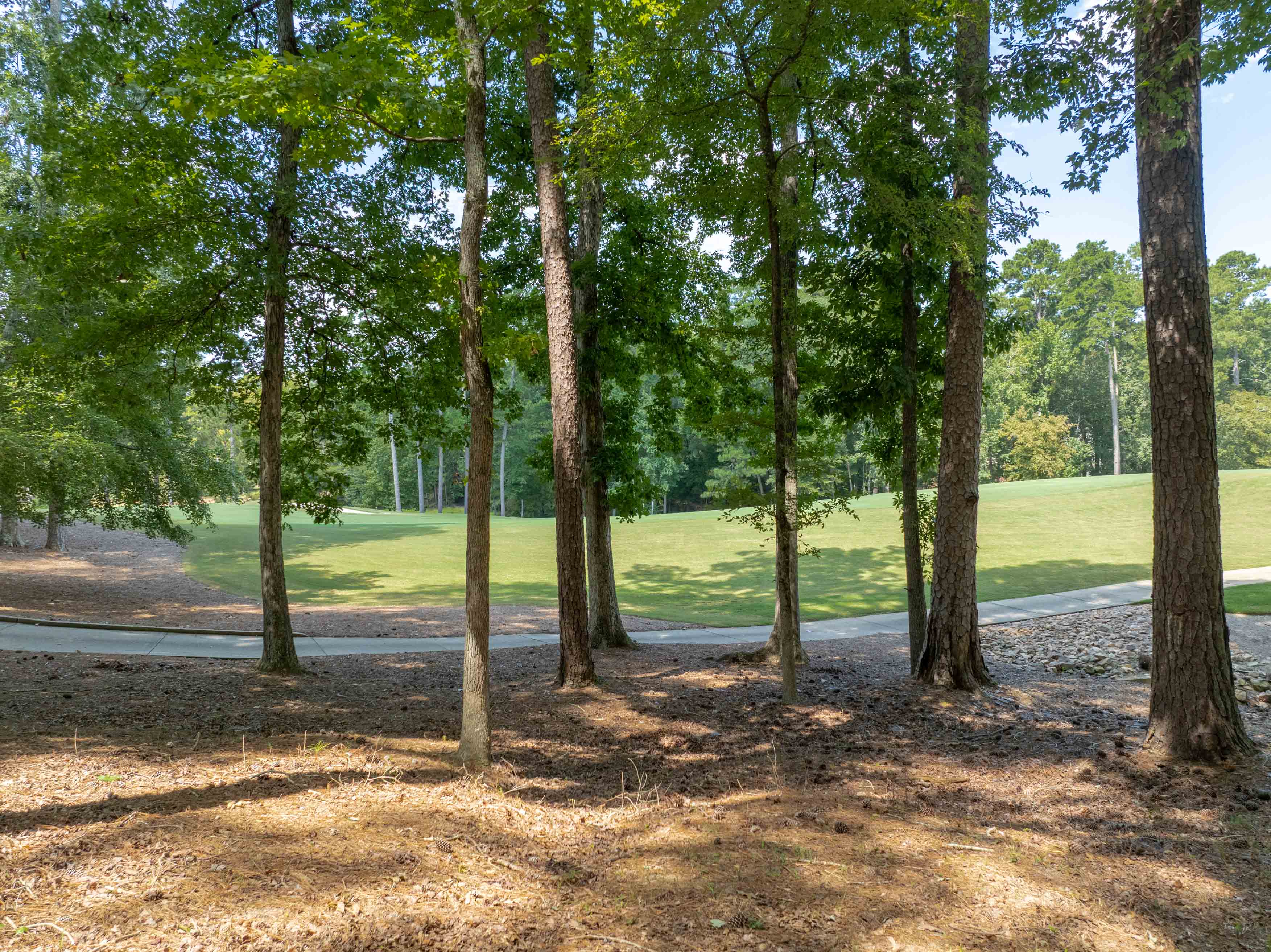 1021 Branson Bluff image 8